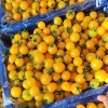小顾果蔬的一亩田店铺