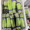 杨庆新的一亩田店铺
