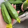湖北宁泽生态农业的一亩田店铺