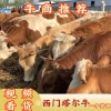 鲁辛辛的一亩田店铺
