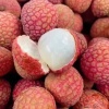 好未来果蔬种植代收代发的一亩田店铺