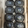 莒县赵财进宝诚信代办的一亩田店铺