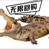 广州鑫鳄鳄鱼水产的一亩田店铺