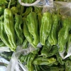庆丰源蔬菜种植合作社的一亩田店铺