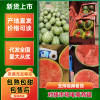 山东潍坊青州凯子瓜果蔬菜代办的一亩田店铺