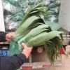 枣上好干果批发的一亩田店铺