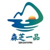 张松的一亩田店铺