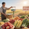 便民超市的一亩田店铺