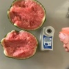 老二瓜果代办团队的一亩田店铺