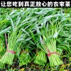 重庆双福国际农贸城的一亩田店铺