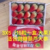 高盛草莓种植基地的一亩田店铺