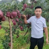 临沂贵钧水果批发商行的一亩田店铺