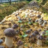 济南三生万物菌业的一亩田店铺