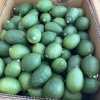 冯承键的一亩田店铺