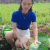 张艳精品果蔬代存代发的一亩田店铺