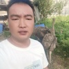 祐溪街道白果种养业农民专业合作社的一亩田店铺