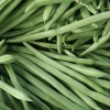 麦豆豆蔬菜的一亩田店铺