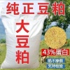 袁雪莹的一亩田店铺