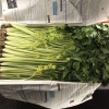 云南高原超惠果蔬的一亩田店铺