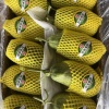 马晓丹的一亩田店铺