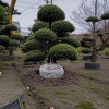 温江互惠园艺场的一亩田店铺