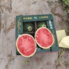 鑫亿源土豆硒砂瓜合作社的一亩田店铺