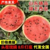 泗水荣磊西瓜代发全国的一亩田店铺