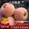 小李汉源果源代办的一亩田店铺