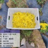 张学成的一亩田店铺