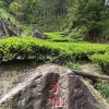 游佳俊的一亩田店铺