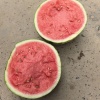 悠田瓜果蔬菜的一亩田店铺