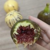 云南格莱斯马蹄番茄专业合作社的一亩田店铺
