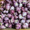 大名老刘疏菜基地的一亩田店铺