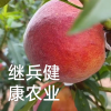 简阳市继兵家庭农场的一亩田店铺