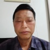 徽葛农业葛根种植的一亩田店铺