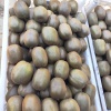临朐县佳正果蔬专业合作社的一亩田店铺