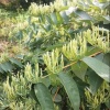 谌茜怡的一亩田店铺
