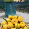 张路菊的一亩田店铺
