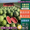 诚信西瓜产地代办代发小赵的一亩田店铺
