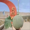 兵哥哥果业供应链的一亩田店铺