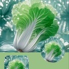 小黑哥蔬菜代购代销蔬菜的一亩田店铺