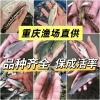 贺少英鱼苗场的一亩田店铺