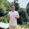 贵州周先生灵芝的一亩田店铺