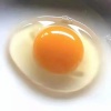 臻鲜蛋品的一亩田店铺