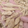 广东安笙农业科技有限公司的一亩田店铺