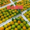 果乐园果业的一亩田店铺