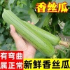 春干食品店的一亩田店铺