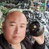 聊城李合增蔬菜的一亩田店铺