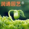 青州市润通花卉苗木专业合作社的一亩田店铺