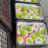 桑梦龙的一亩田店铺